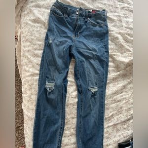 Celebrity Pink Blue Jeans